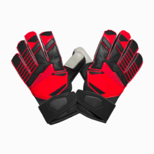 Goalie Glove